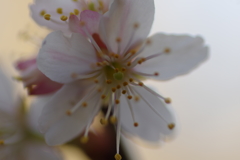 IMGP2682