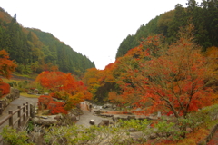 夫婦で紅葉狩り