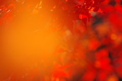 寂地峡２０１７－２