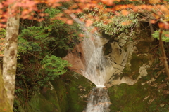 紅葉狩り２０２１