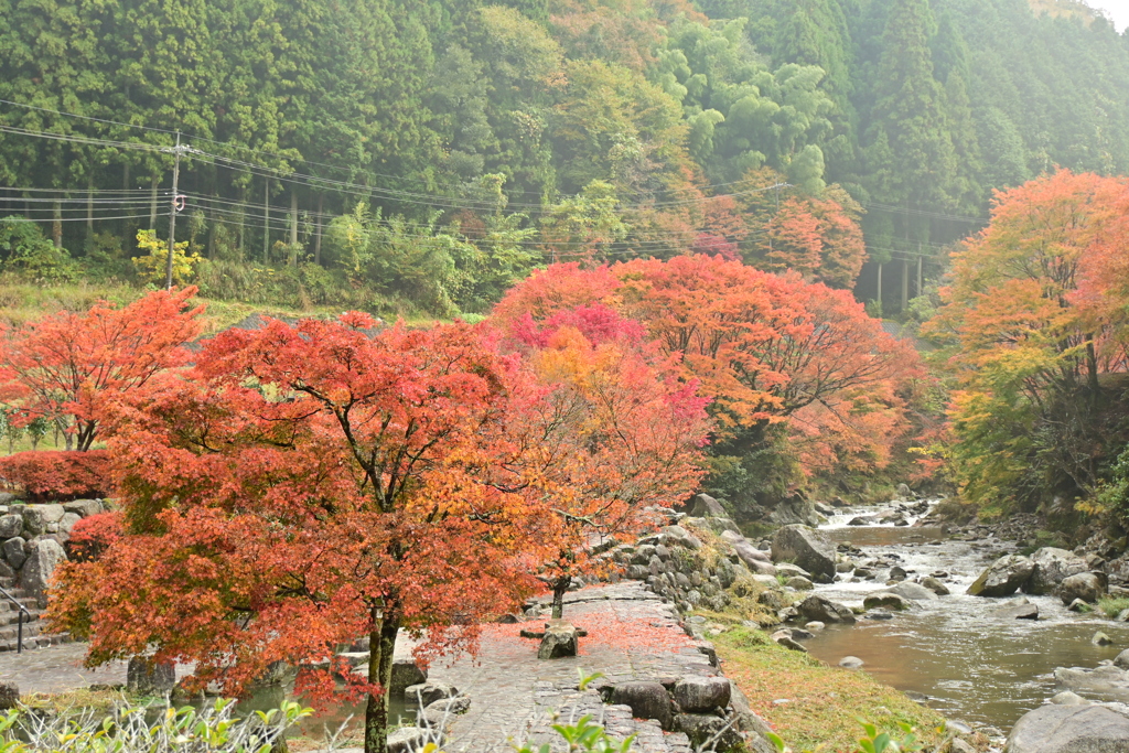 夫婦で紅葉狩り