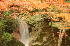 紅葉狩り２０２１