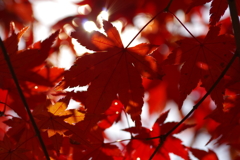 寂地峡２０１７－２