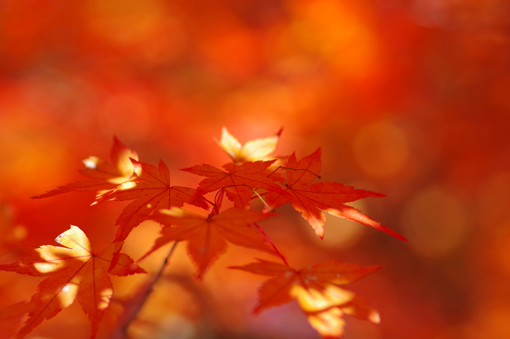 寂地峡２０１７－２