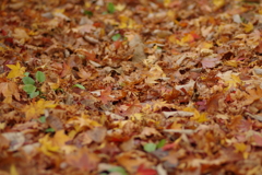 寂地峡２０１７－２