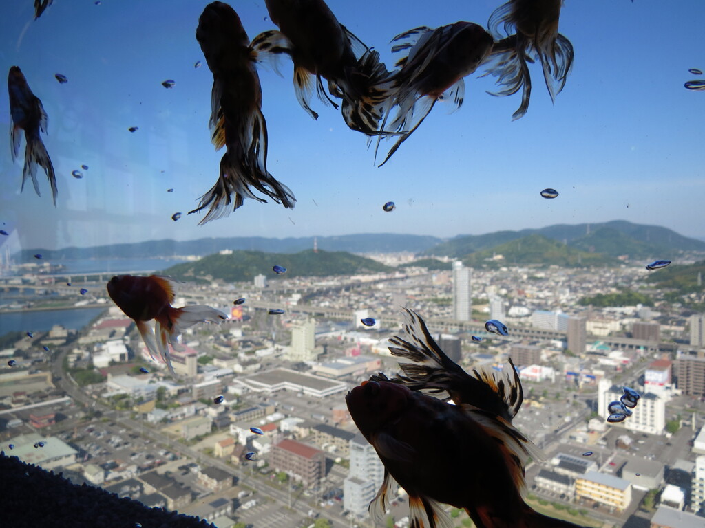 ソラキンの影