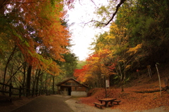 紅葉狩り２０２１