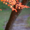 伊藤公記念公園の紅葉