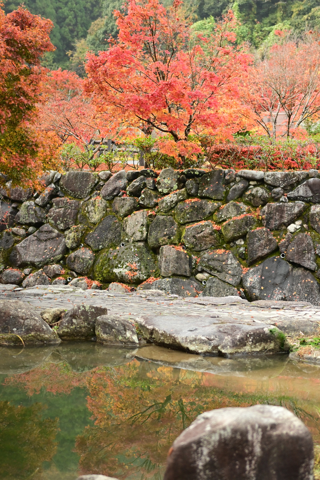 夫婦で紅葉狩り
