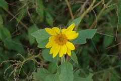 仕事帰りに 仕事帰りに