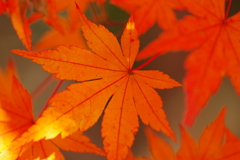 寂地峡２０１７－２