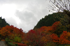 夫婦で紅葉狩り