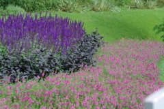 やまぐちフラワーランド