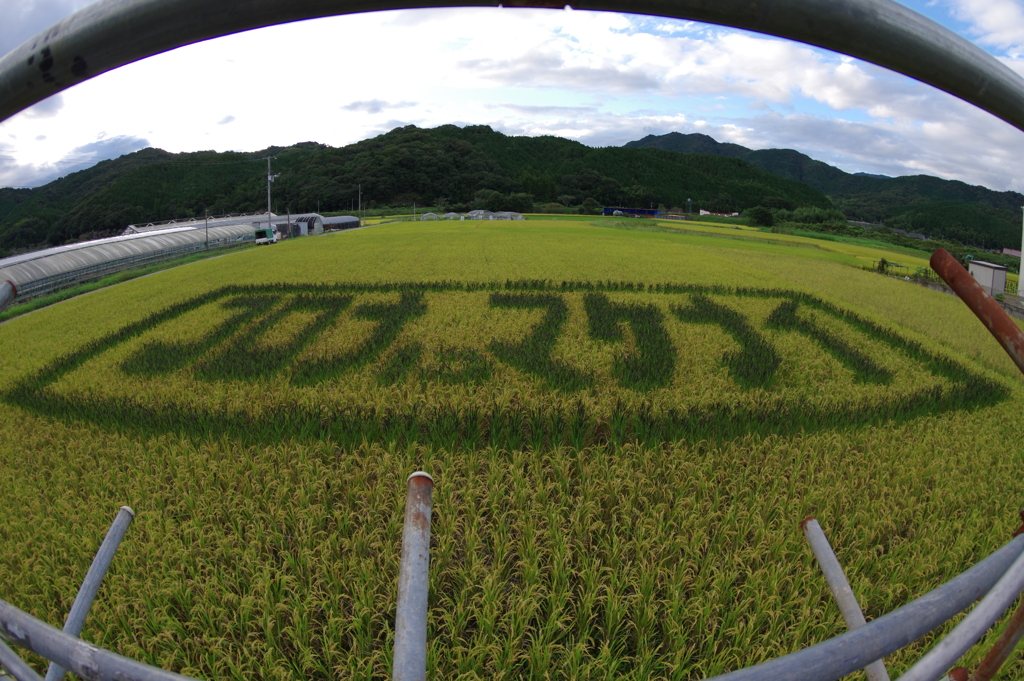 コロナにマケナイ（田んぼアート2020）
