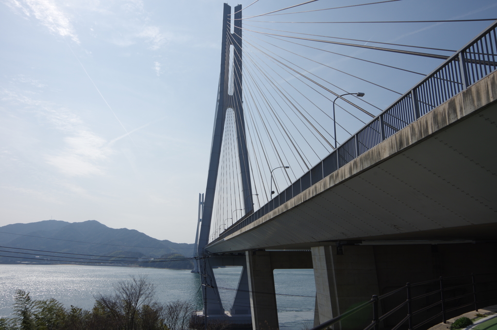 多々羅大橋