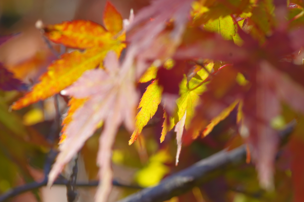 まだまだこれから