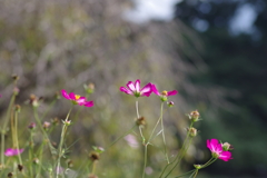 仕事帰りに 仕事帰りに