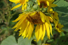 仕事帰りに 仕事帰りに