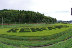 田んぼアート２０１８