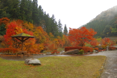 夫婦で紅葉狩り