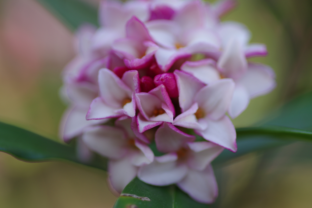 IMGP2674