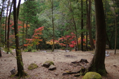 紅葉狩り２０２１