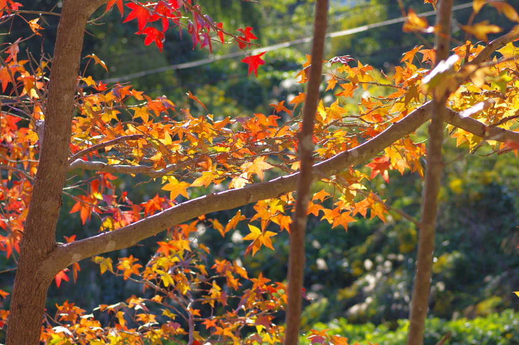 まだまだこれから