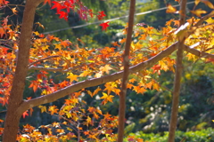 まだまだこれから