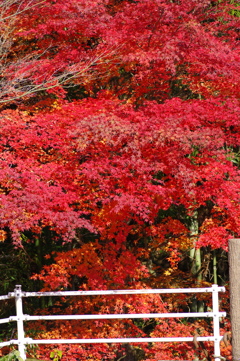 寂地峡２０１７