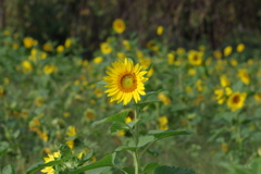 仕事帰りに 仕事帰りに
