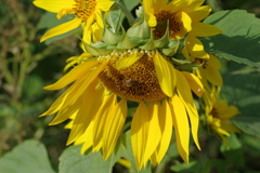 仕事帰りに 仕事帰りに