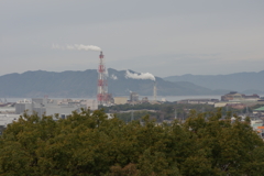 仕事帰りに梅園散策