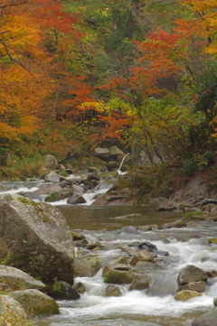 夫婦で紅葉狩り