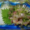 肴