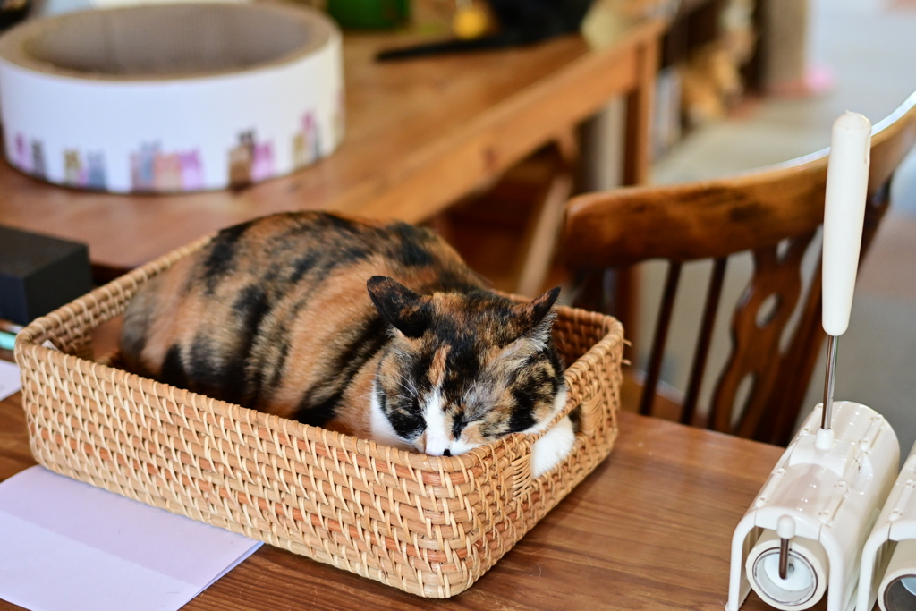 山猫軒