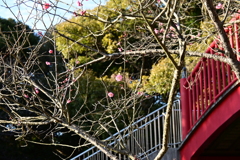 冠梅園