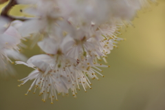 IMGP2680