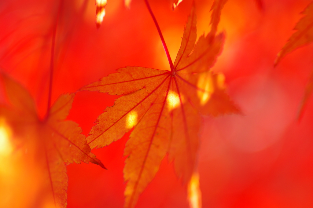 寂地峡２０１７