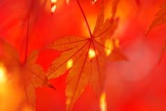 寂地峡２０１７