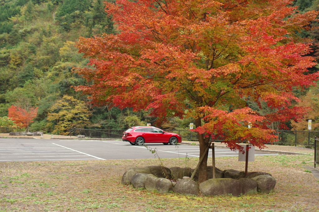 紅葉とソウルレッド