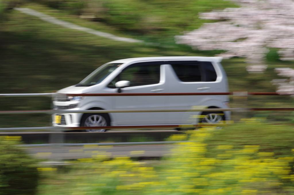 IMGP2733