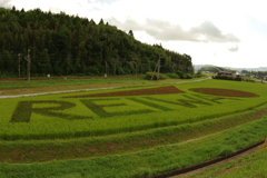 田んぼアート2019　in田布施