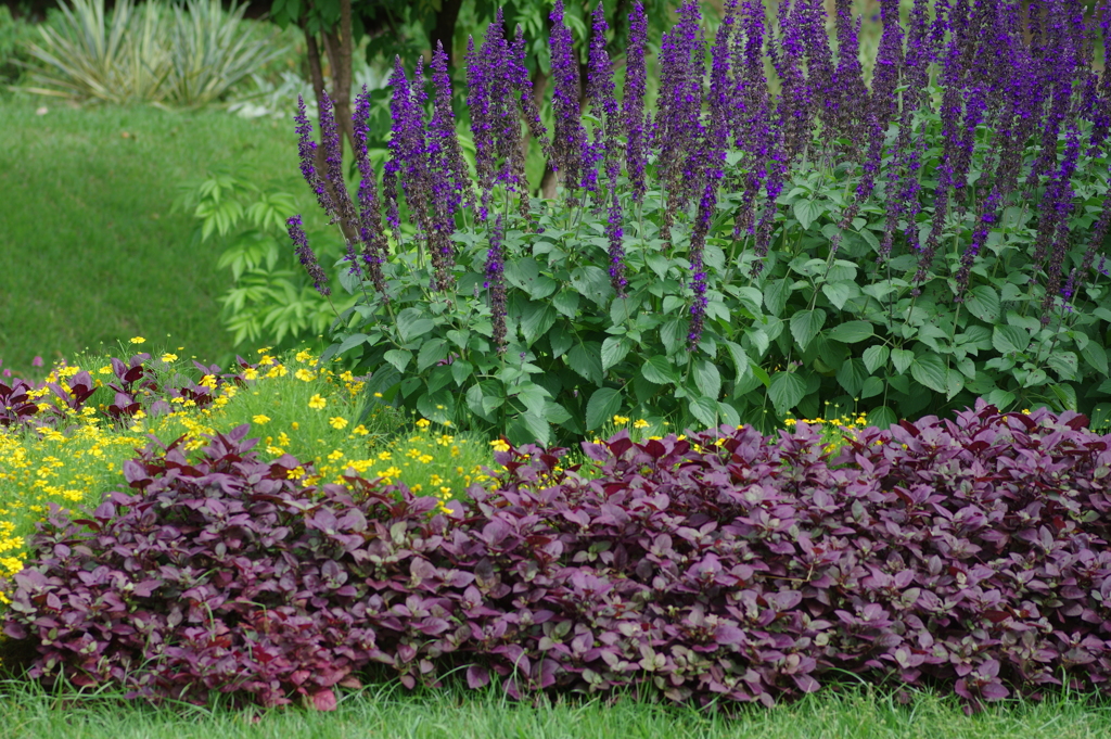 やまぐちフラワーランド