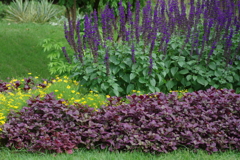 やまぐちフラワーランド