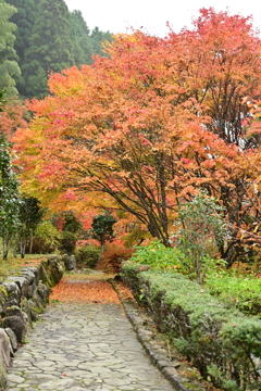 夫婦で紅葉狩り