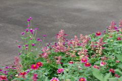 やまぐちフラワーランド