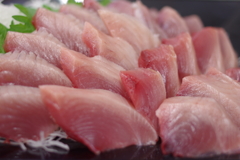 カツオの刺身