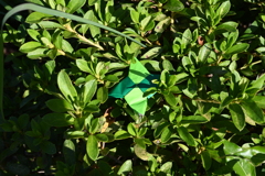 置き去りの折り紙手裏剣