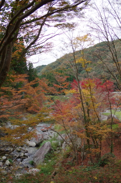 親子で紅葉狩り