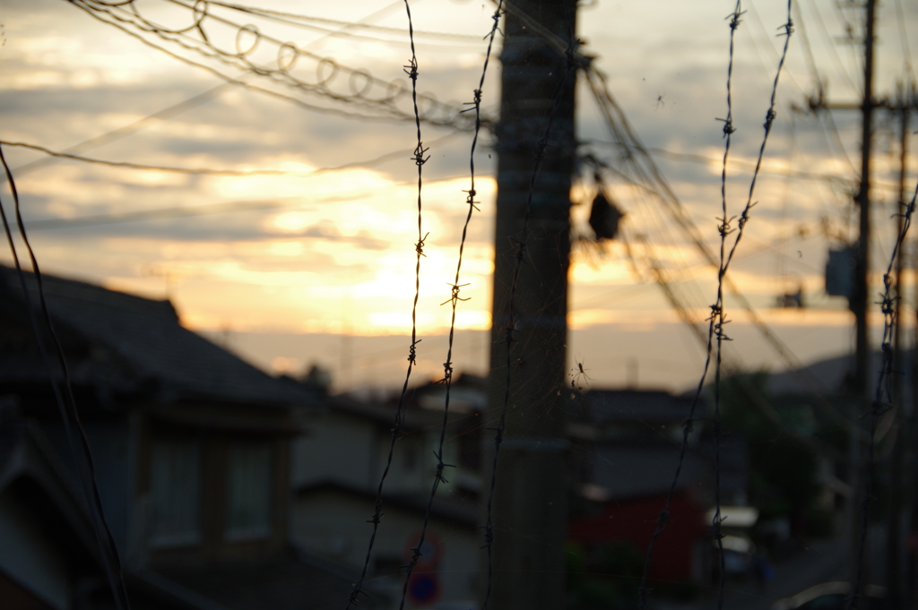 有刺鉄線と夕暮れ